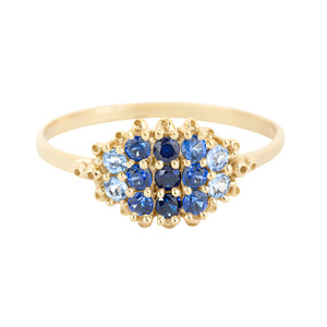 
            
                Load image into Gallery viewer, Front-facing view of Fereastra Ring with blue sapphires by Ruta Refien.
            
        