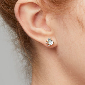 
            
                Load image into Gallery viewer, Detail view of model wearing Aquamarine and Diamond Encrusted Stud Earrings by Ruth Tomlinson on right ear.
            
        